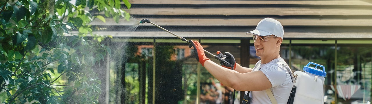 Man spraying pest controls on trees